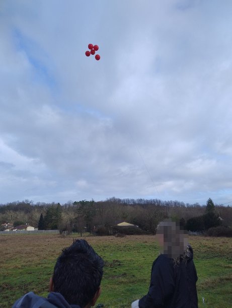 IMG_20260131_104928671